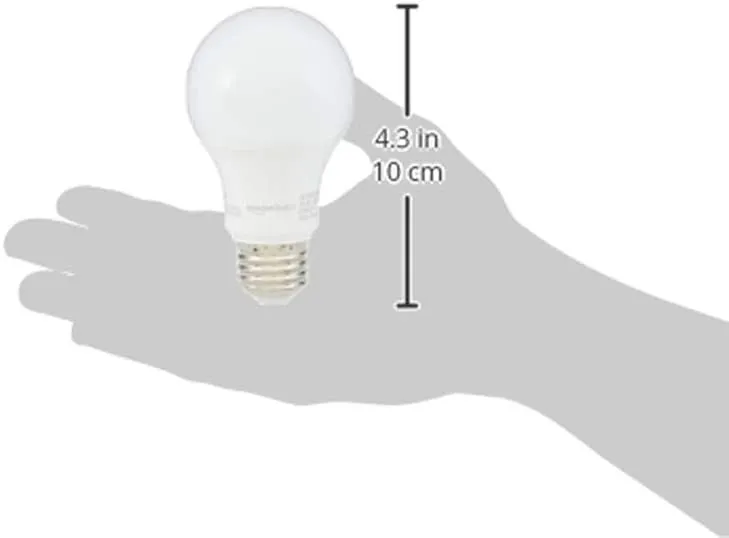 A19 LED Light Bulb, 60 Watt Equivalent, Energy Efficient 9W, E26 Standard Base, Daylight White 5000K, Non-Dimmable, 10,000 Hour Lifetime, 24-Pack