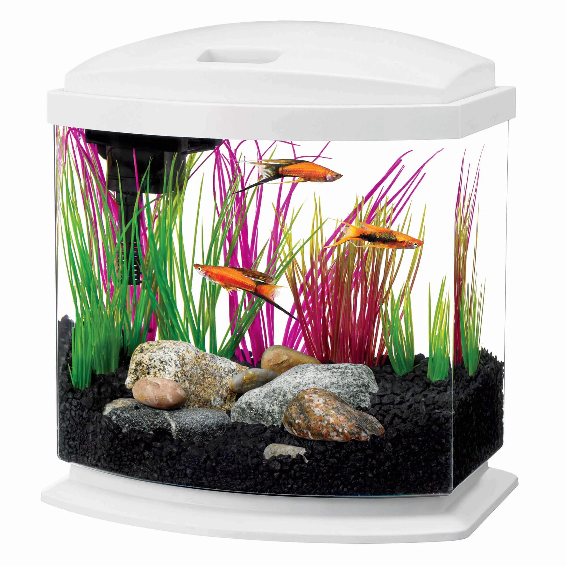 Aqueon 2.5 Gallon Mini Bow Kit