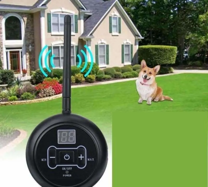 Electric Wirless Dog Fence For You